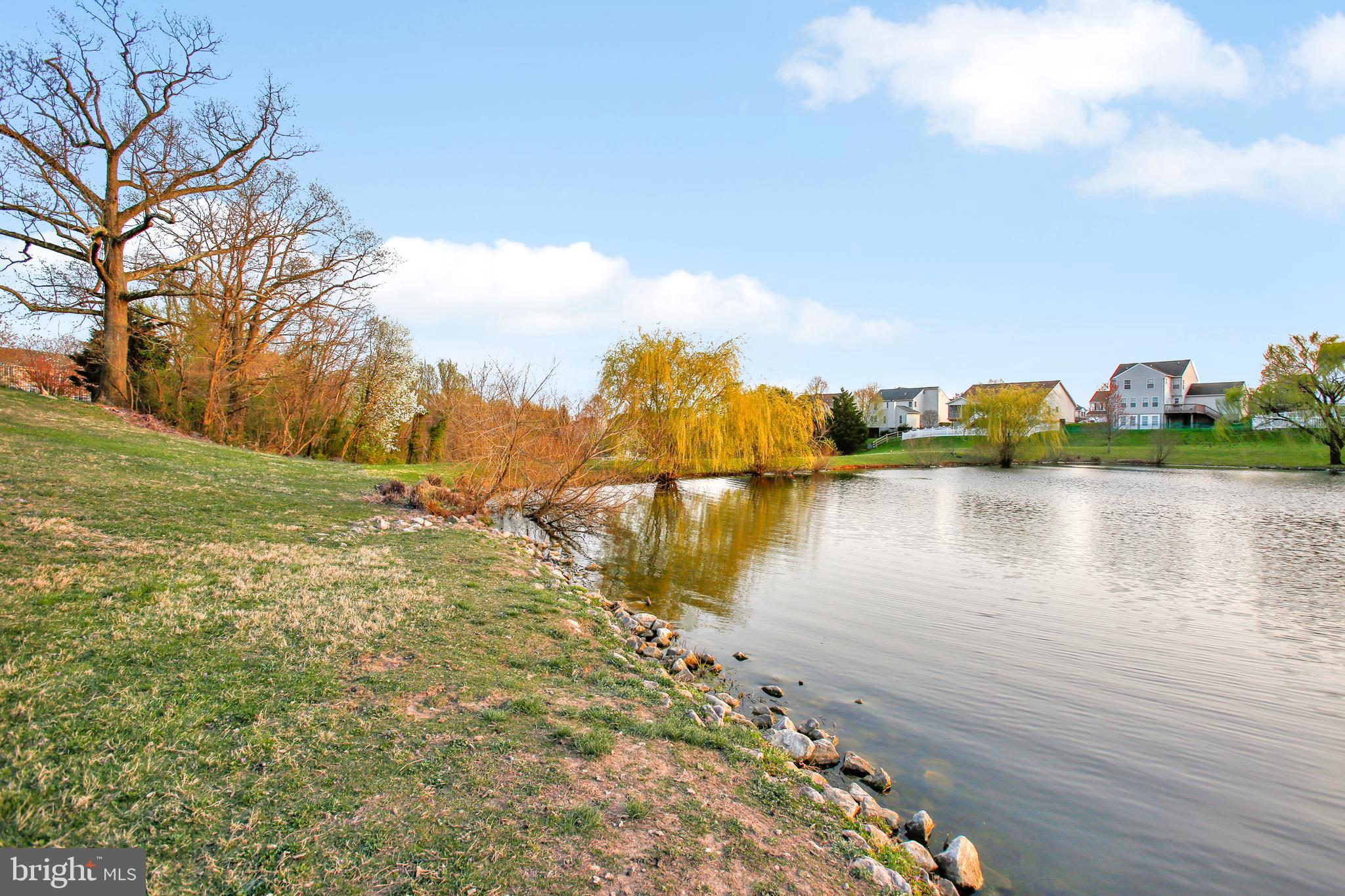 FOREST LAKES - Residential