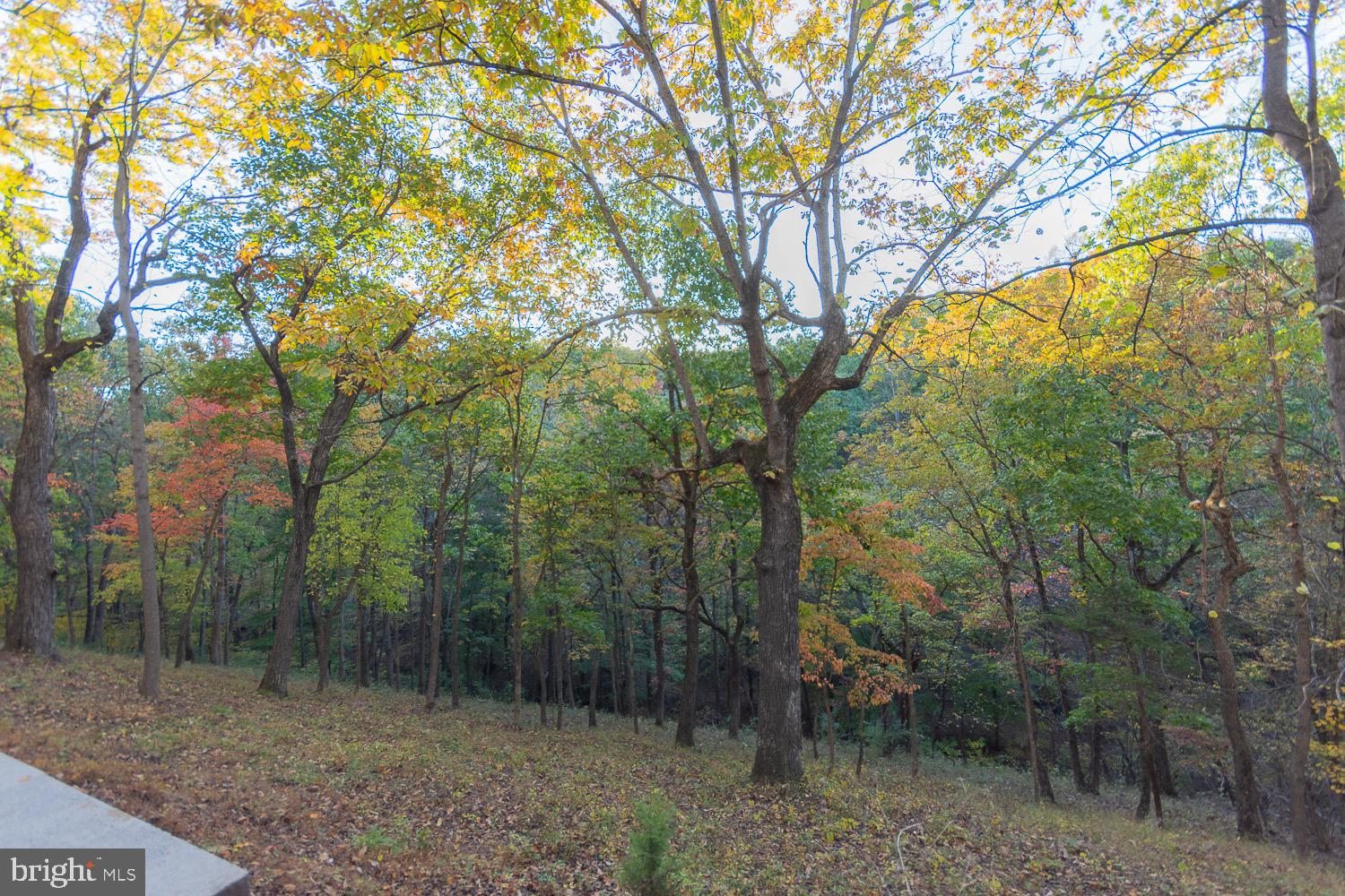 KEYES FERRY ACRES - Residential