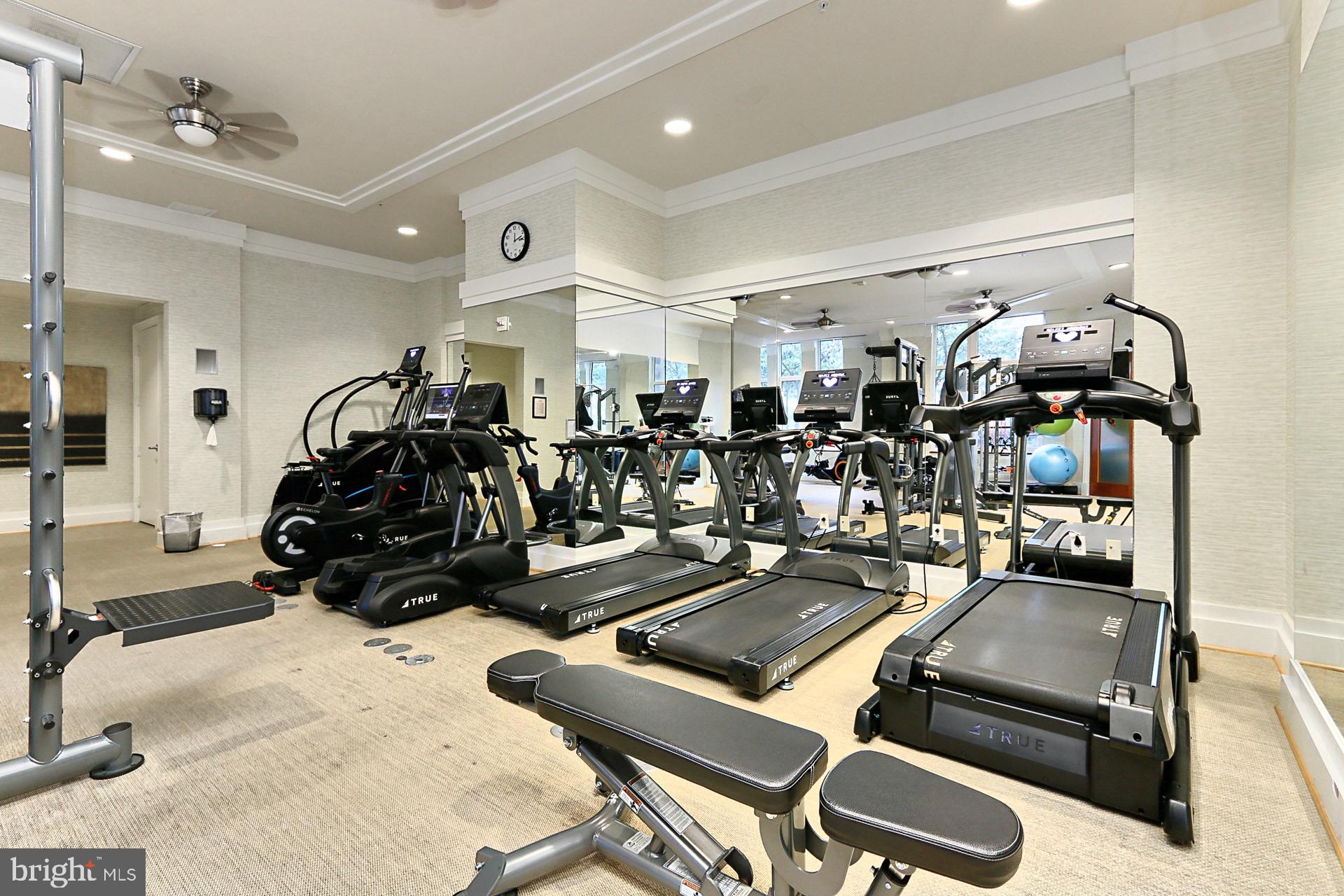 ONE PARK CREST CONDOMINIUM - Residential Lease