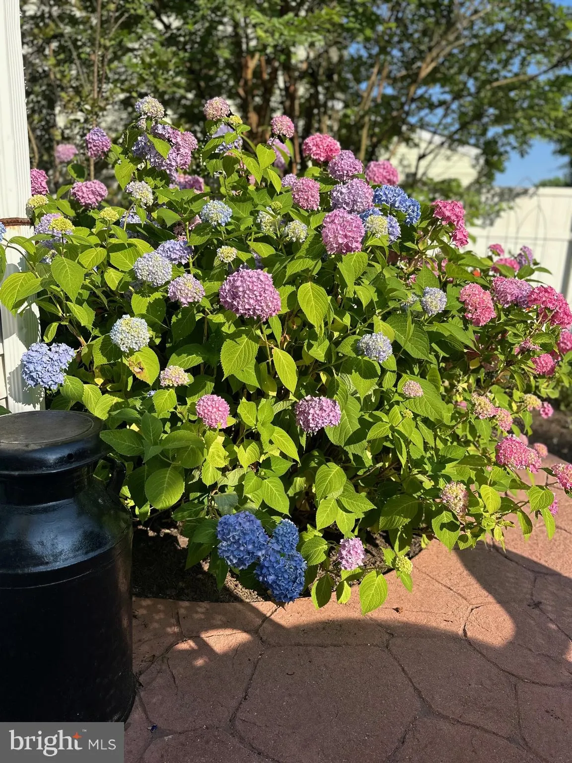 Harleysville, Pennsylvania 19438, United States, 3 Bedrooms Bedrooms, ,2 BathroomsBathrooms,Residential,Active,110535