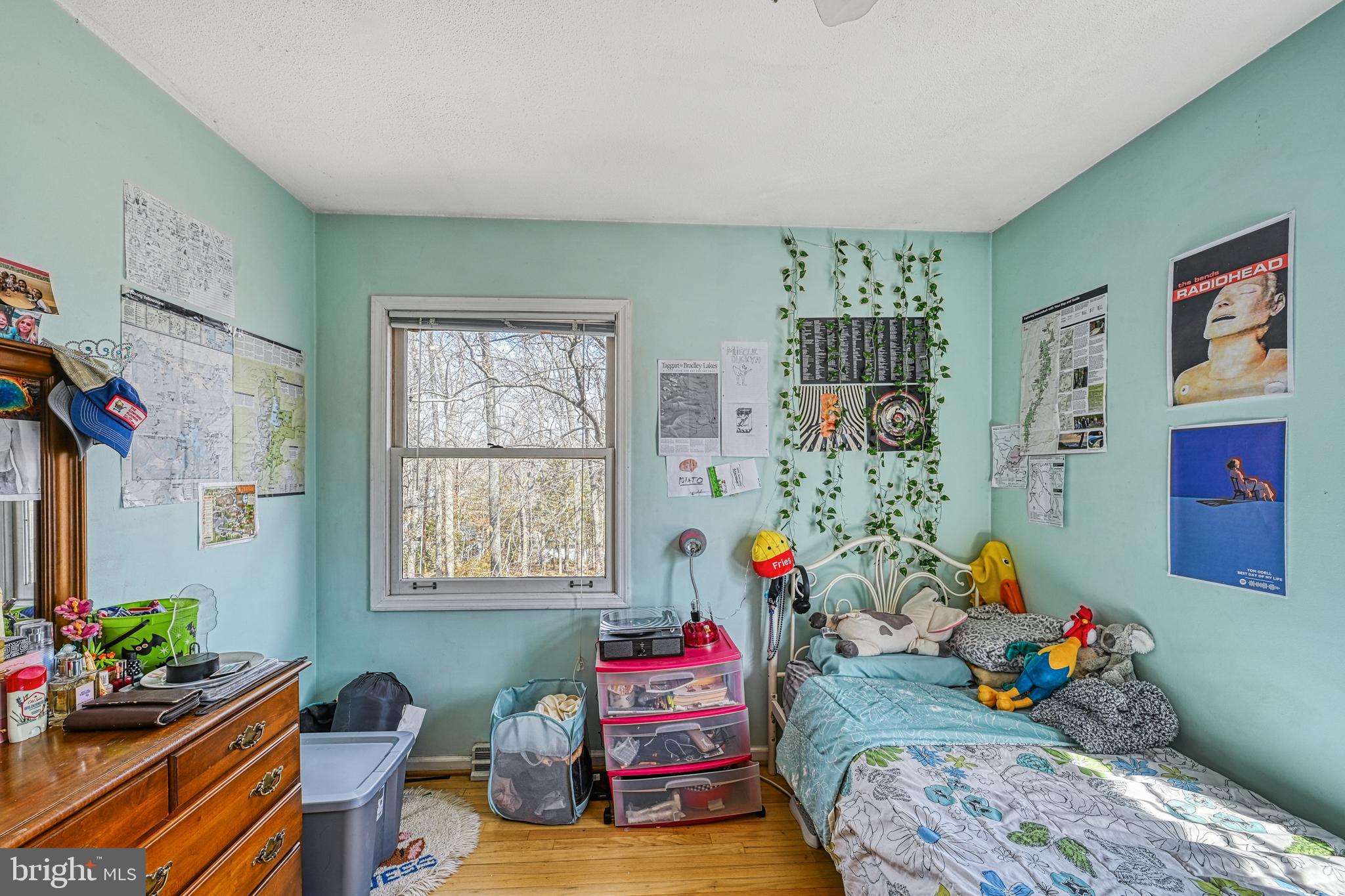 LAKE OF THE WOODS - Residential