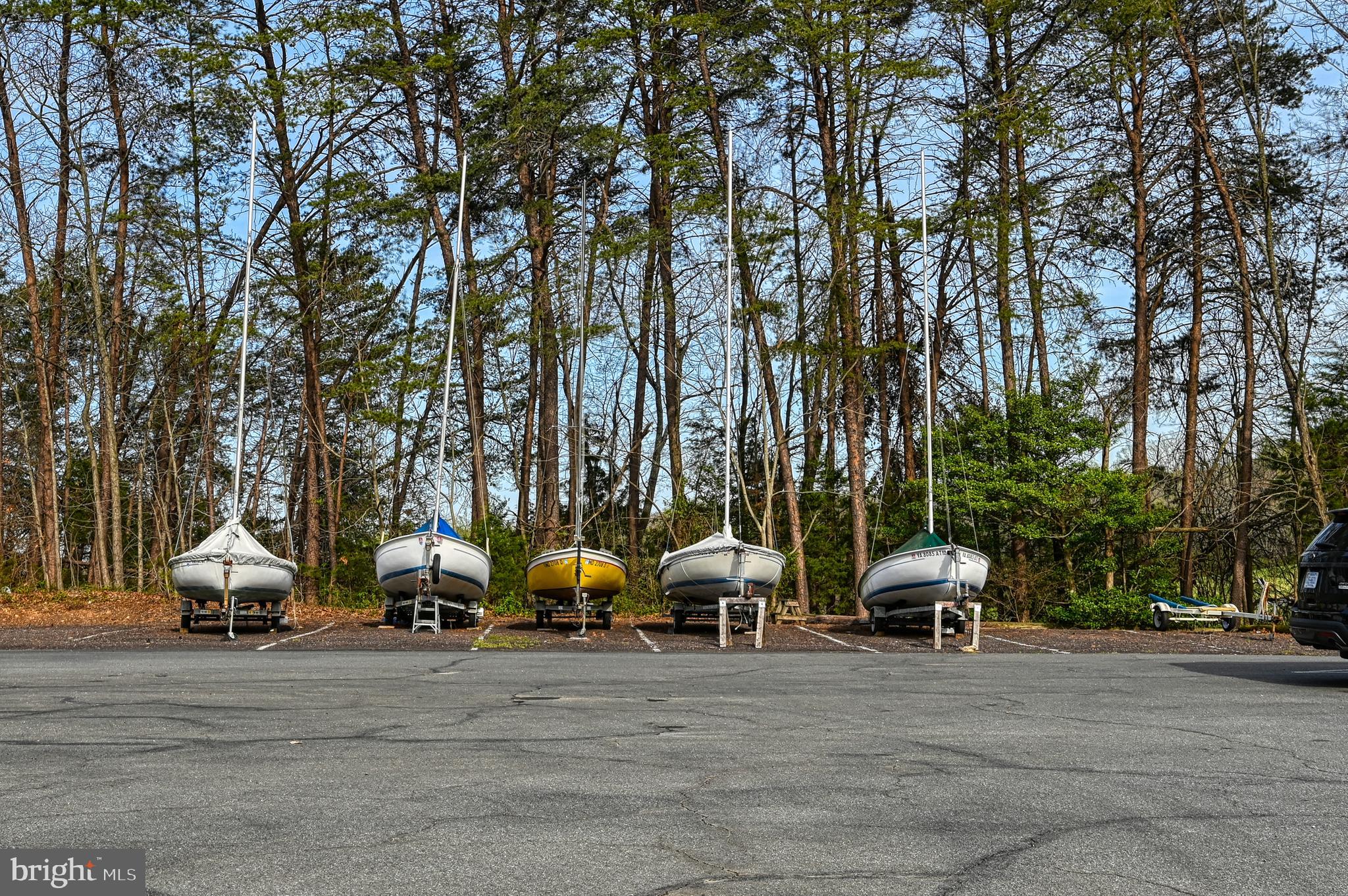 LAKE OF THE WOODS - Residential