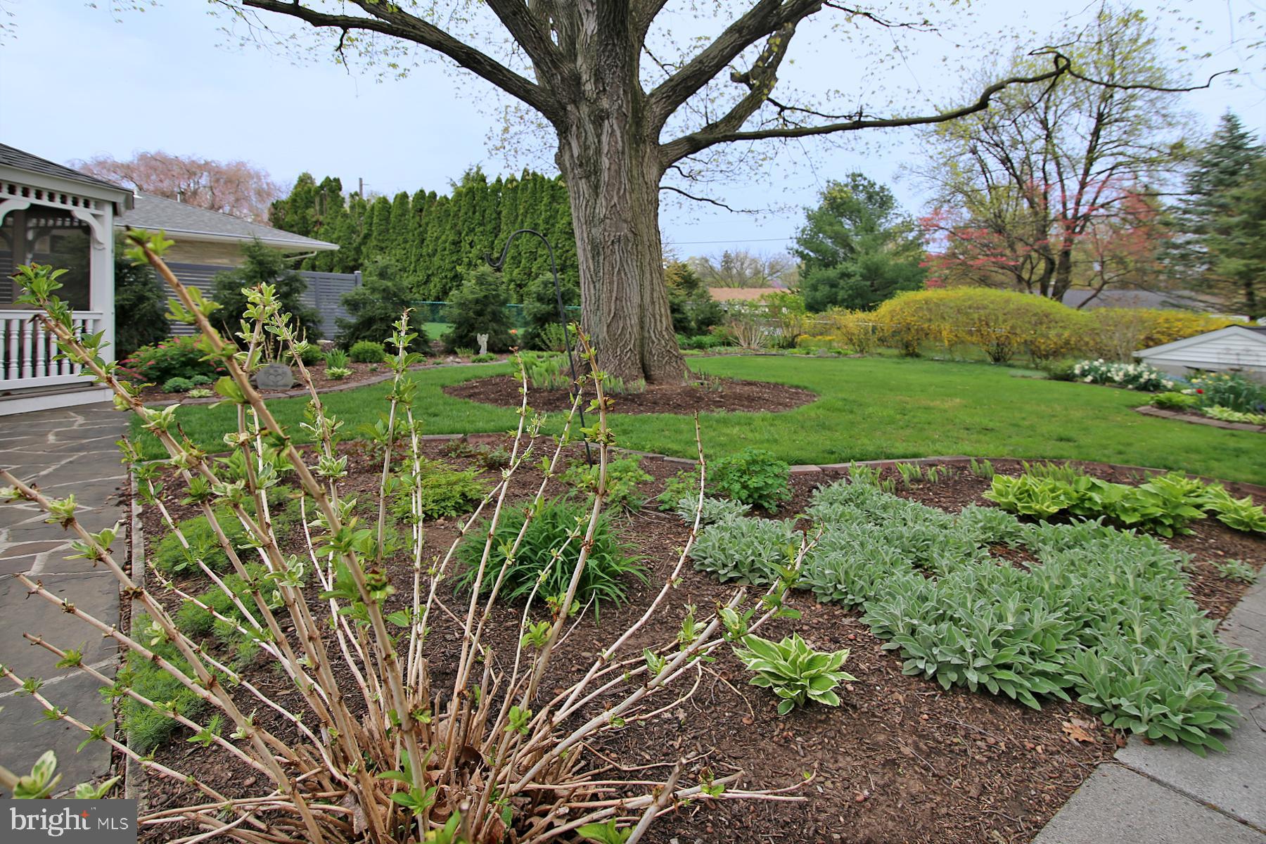 WARD #2 - Residential