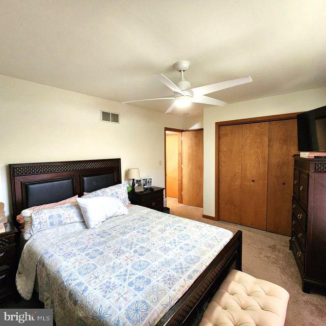 THE WOODS - MT SPRINGS - Residential