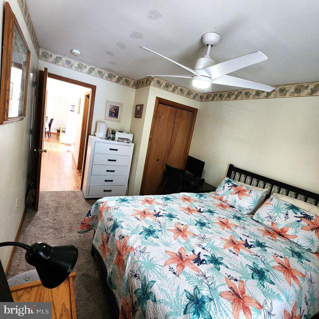 THE WOODS - MT SPRINGS - Residential