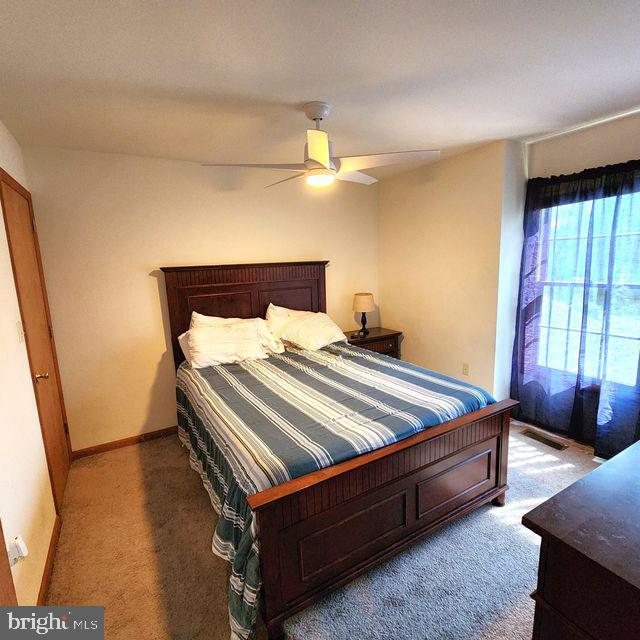 THE WOODS - MT SPRINGS - Residential