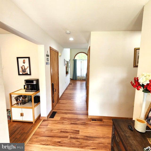 THE WOODS - MT SPRINGS - Residential