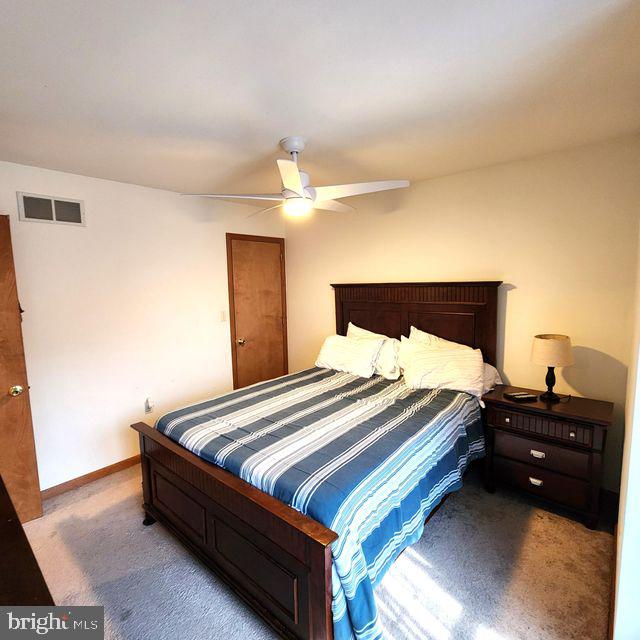 THE WOODS - MT SPRINGS - Residential