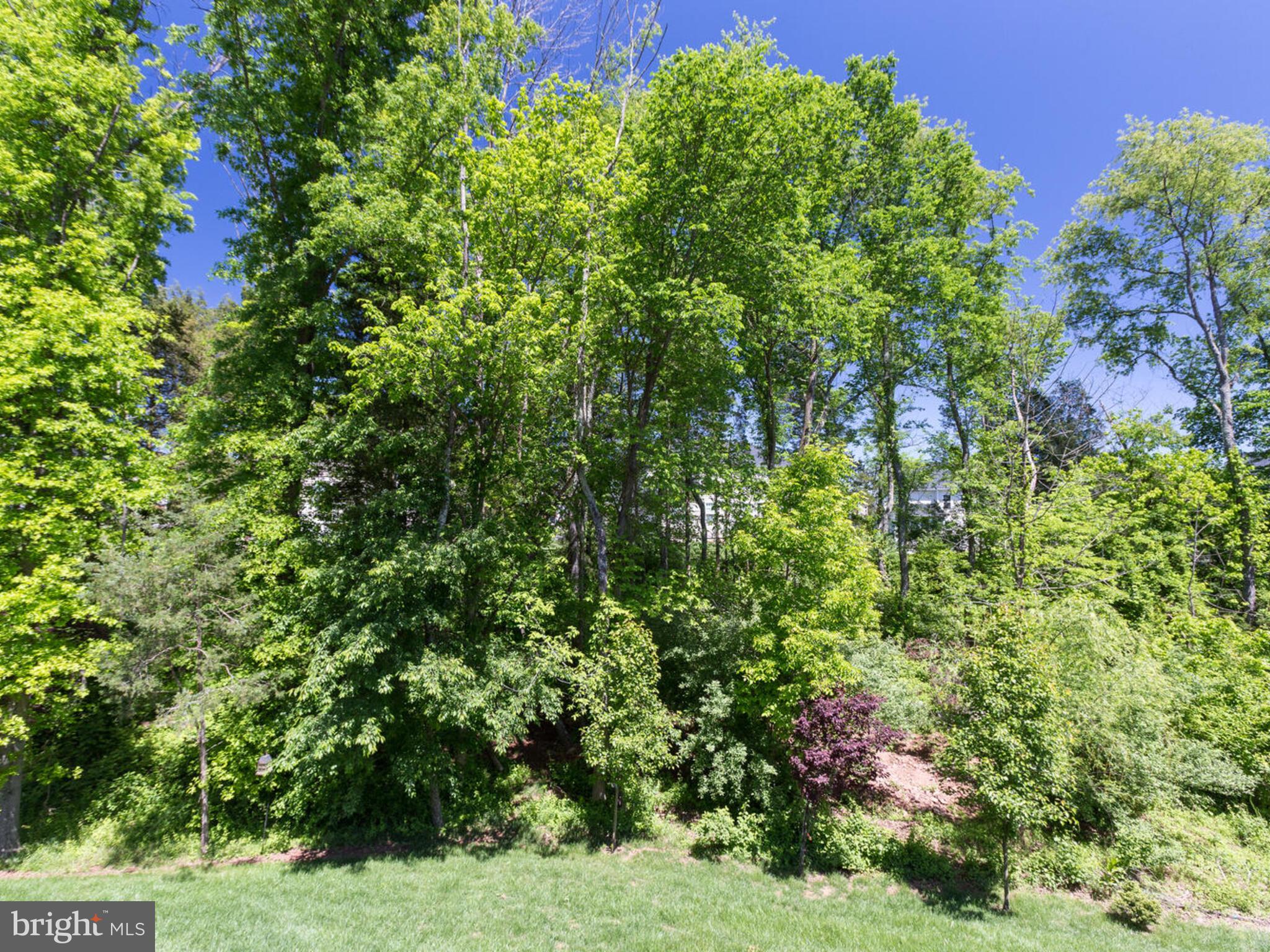 STONE RIDGE - Residential