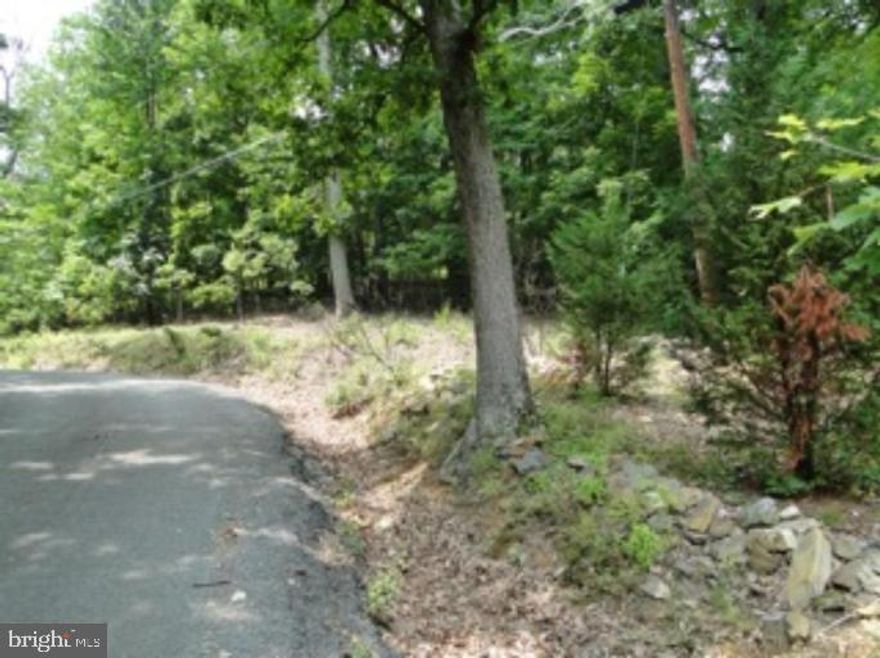 3.46 Acre Lot, Mt. View - Owner has no records or applied for septic test. Tons of potential!