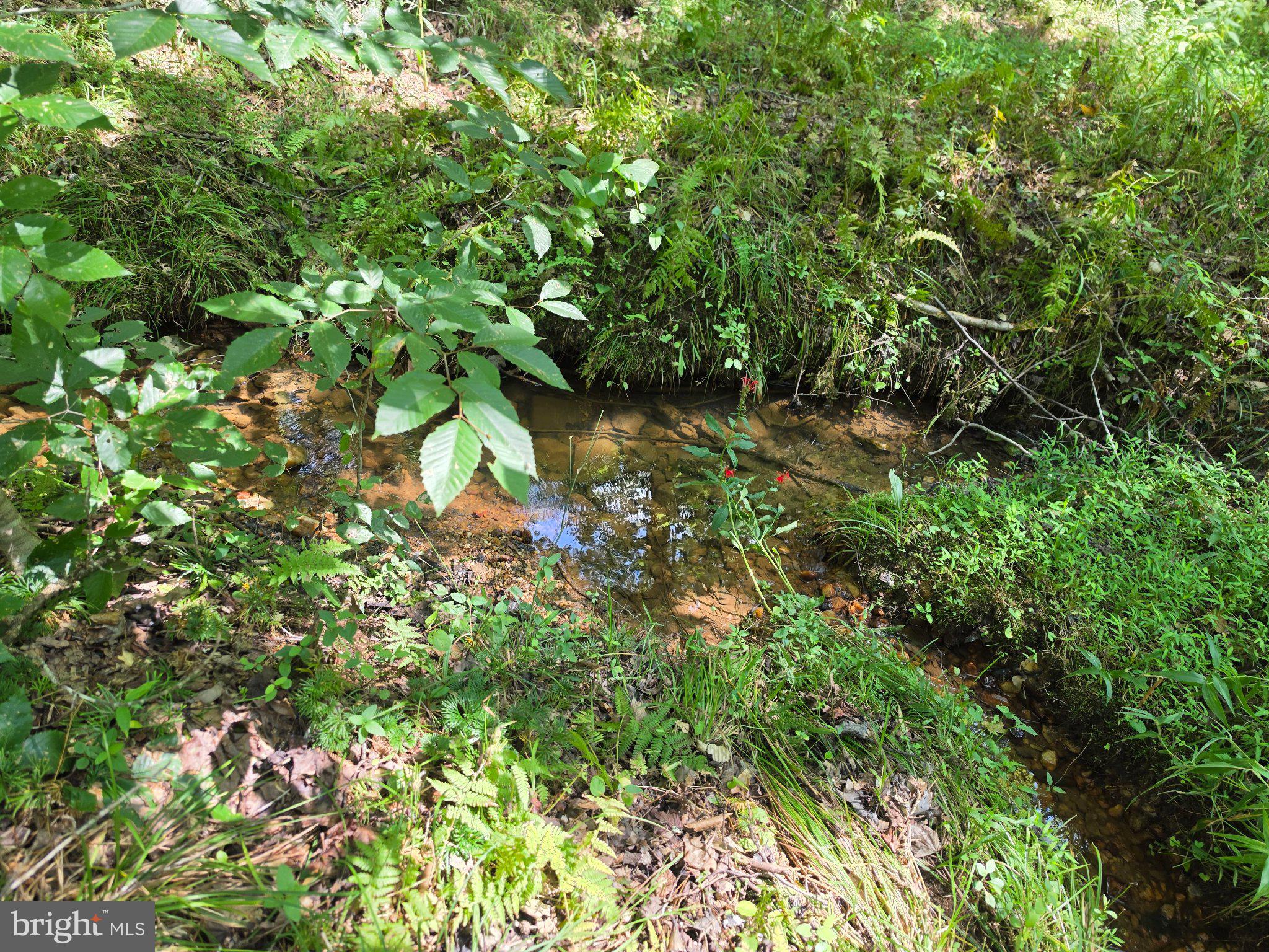 JOHNSON HOLLOW