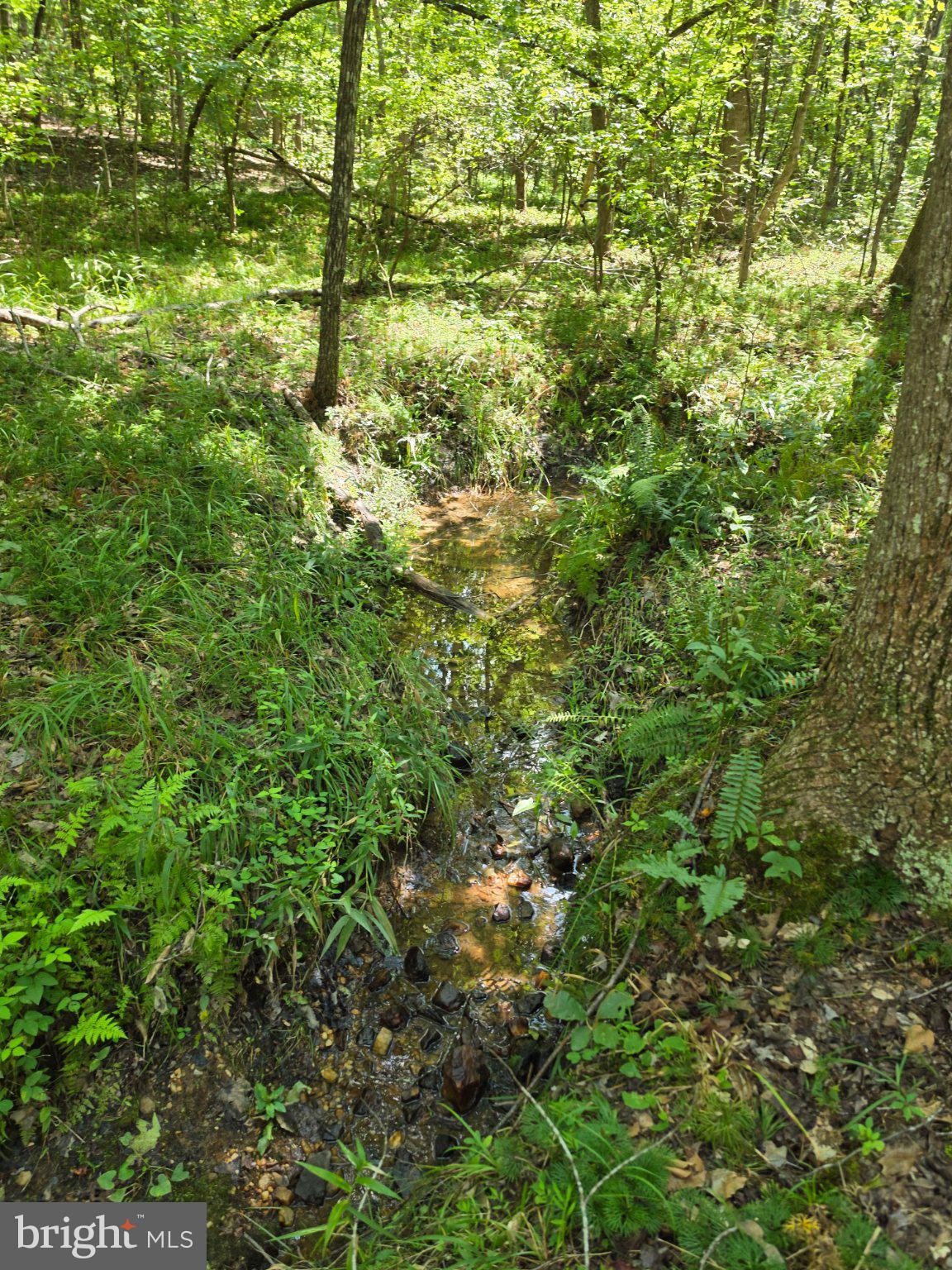 JOHNSON HOLLOW