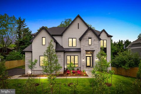 1100 BALLS HILL ROAD MCLEAN VA 22101