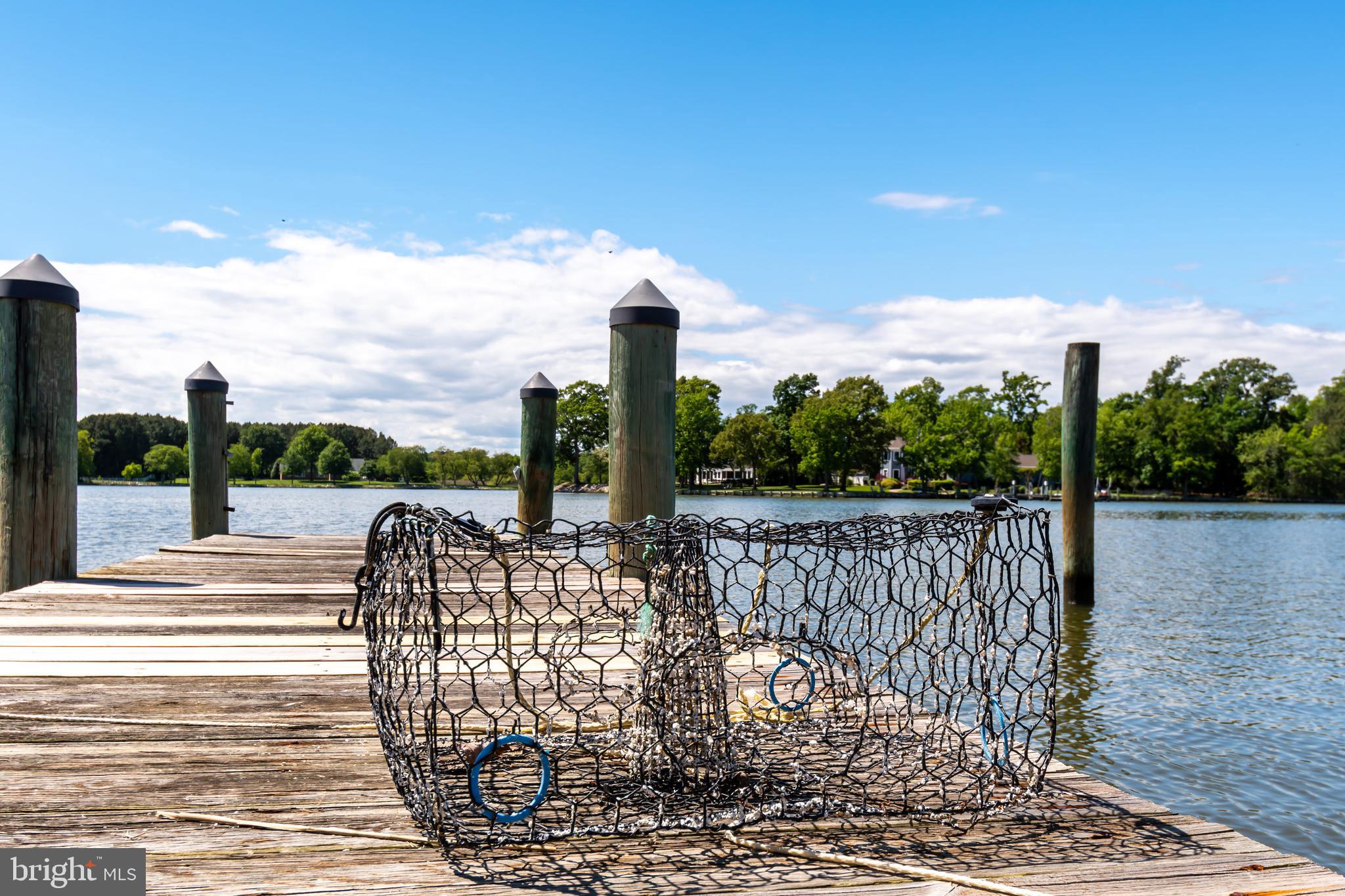 COVE CREEK CLUB - Residential