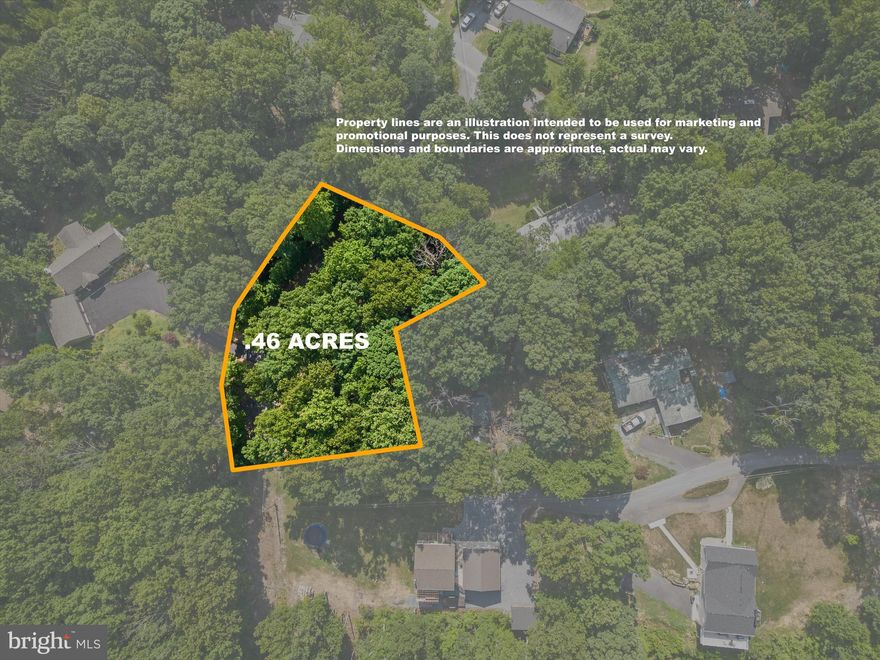 What an amazing  0.46 acre property just a stone's throw from Shanondale Lake!  Build your dream home near Mountain Lake Club with the privacy of property in the woods and NO HOA.  This lot is near Gate 4, with easy access to Shannondale Springs Wildlife Management Area and the Shenandoah River.