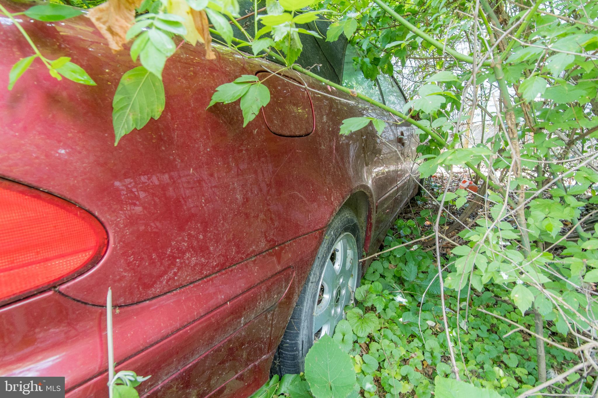 ALBEMARLE - Residential