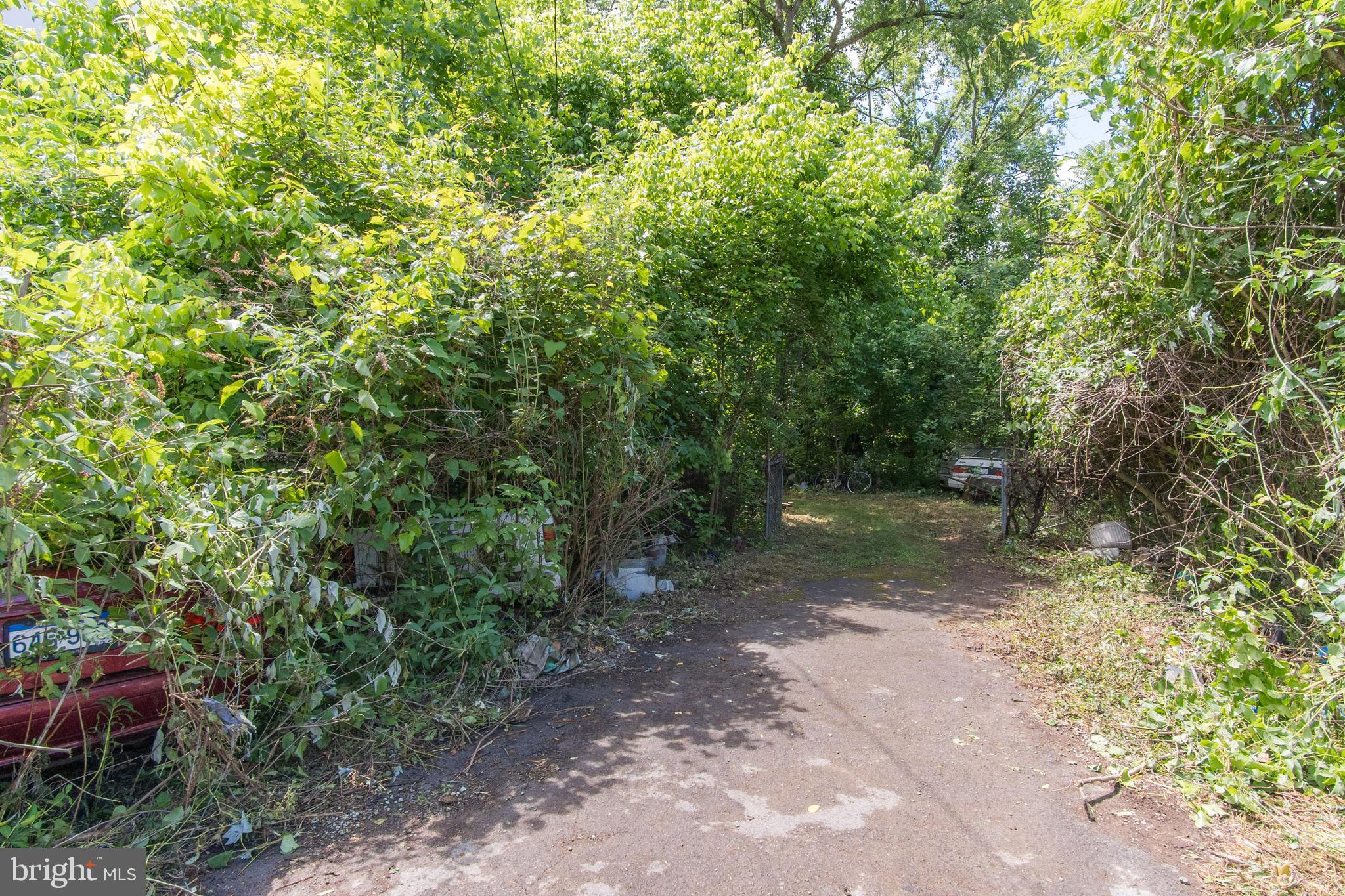 ALBEMARLE - Residential