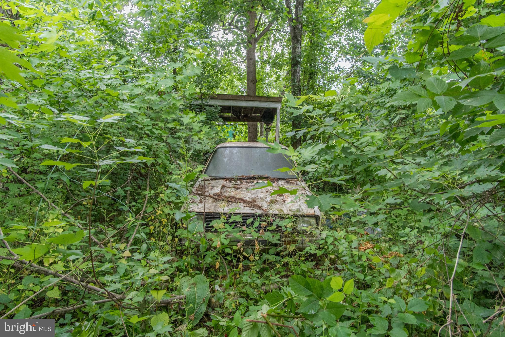 ALBEMARLE - Residential