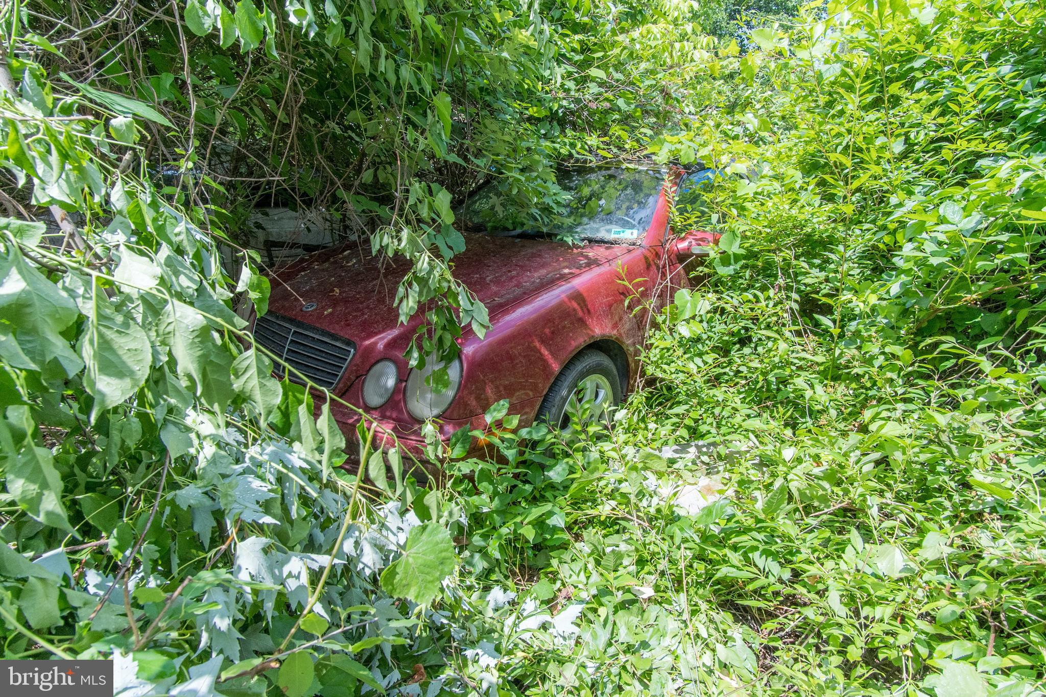 ALBEMARLE - Residential