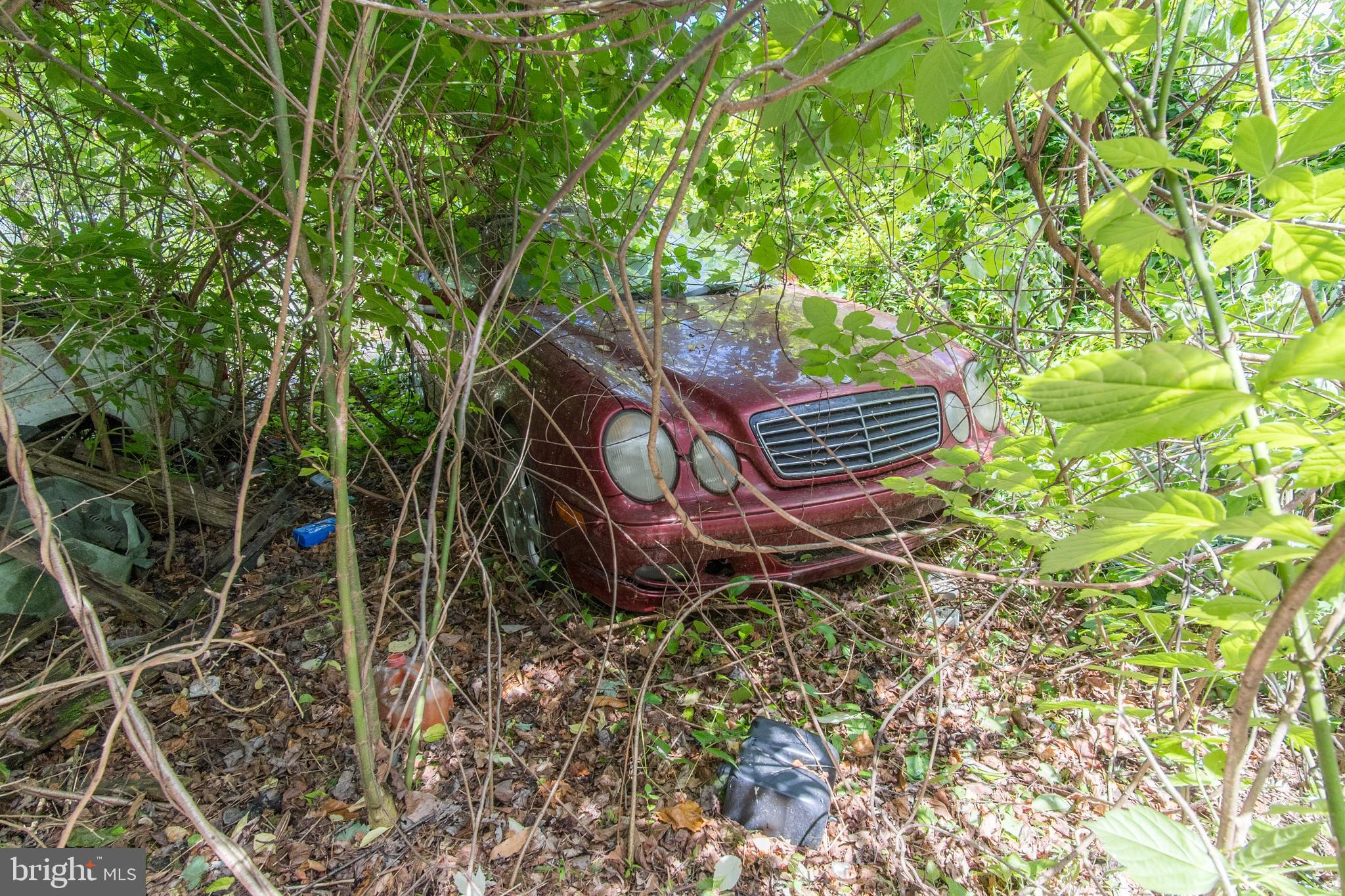 ALBEMARLE - Residential