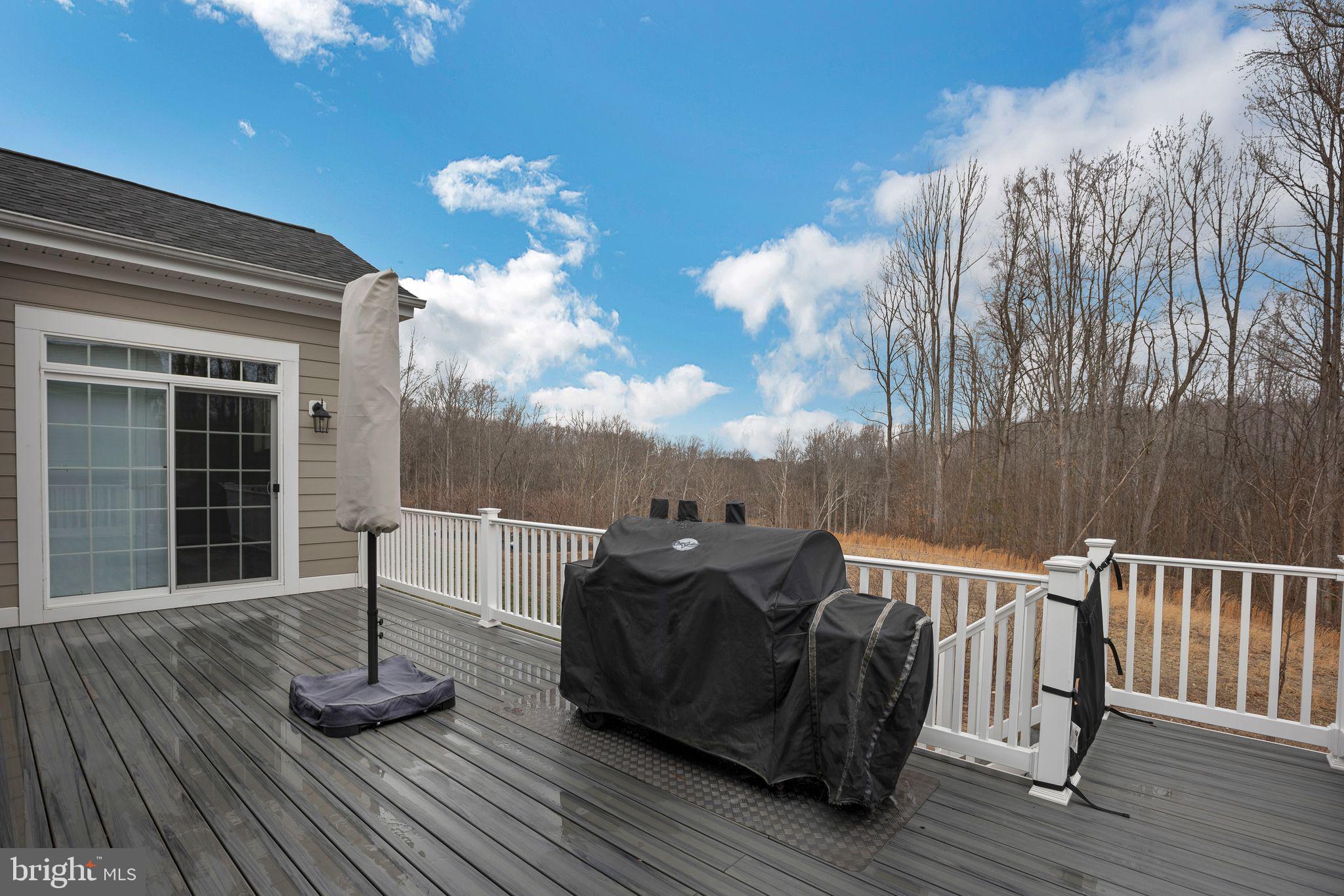 THE VILLAGES OF STEEPLECHASE - Residential