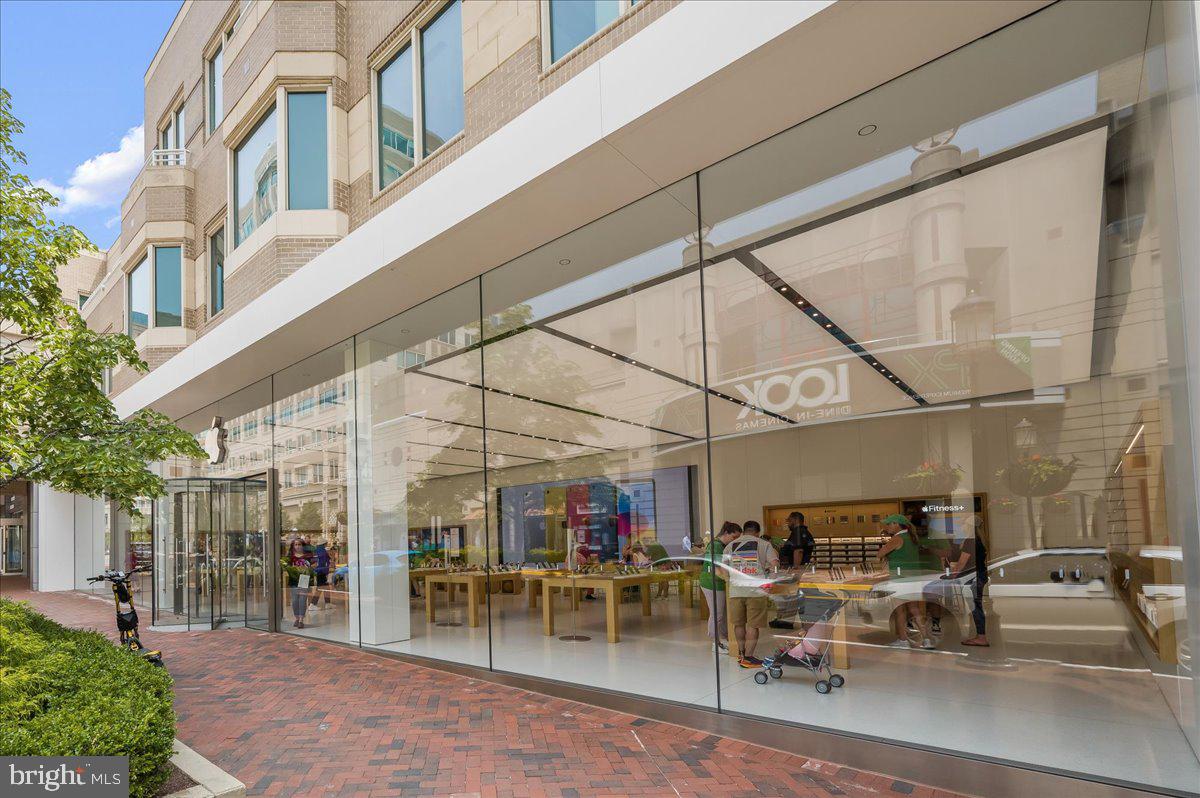 CHESTNUT GROVE - Residential Lease