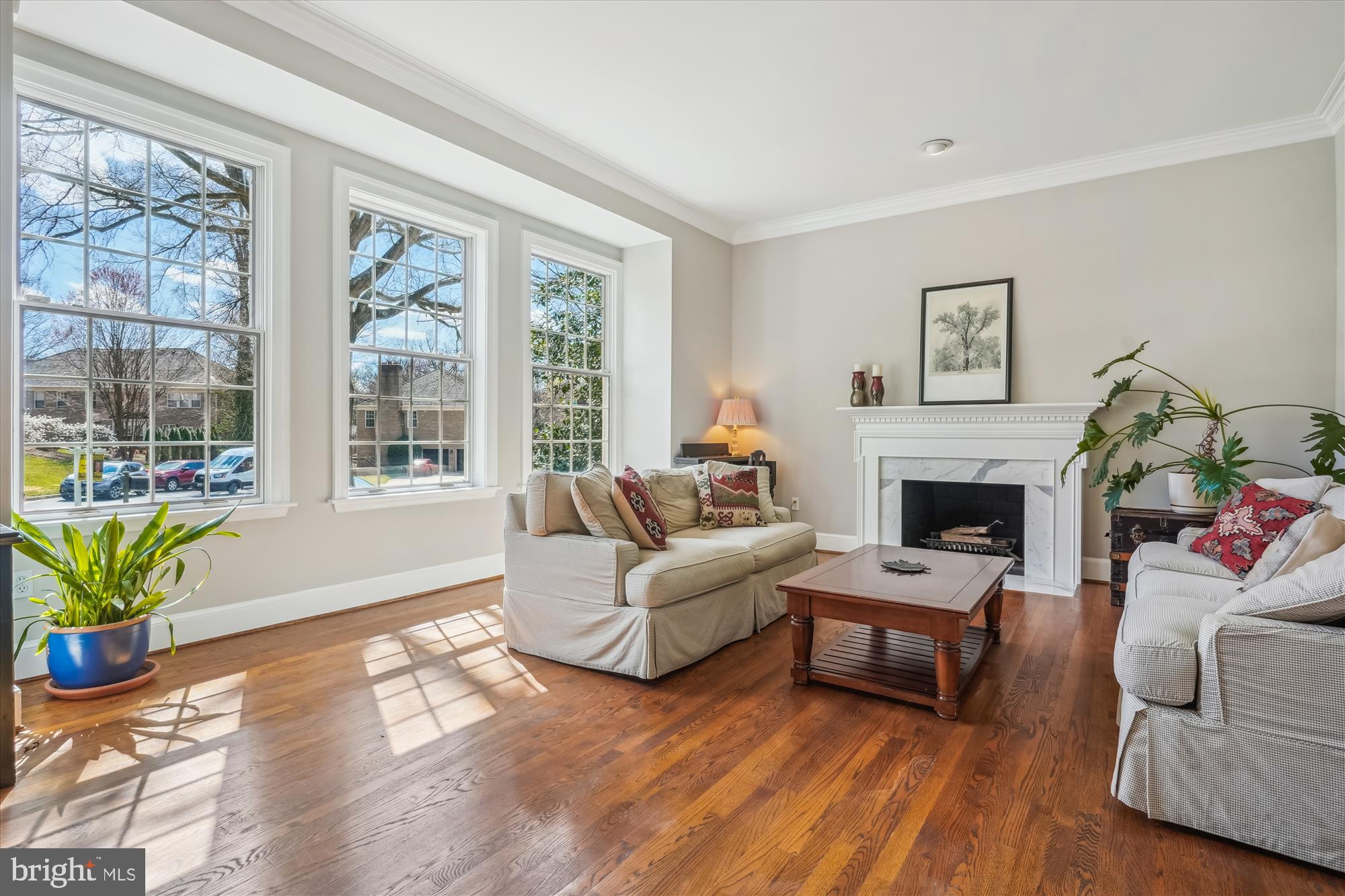 SOLITAIRE - Residential