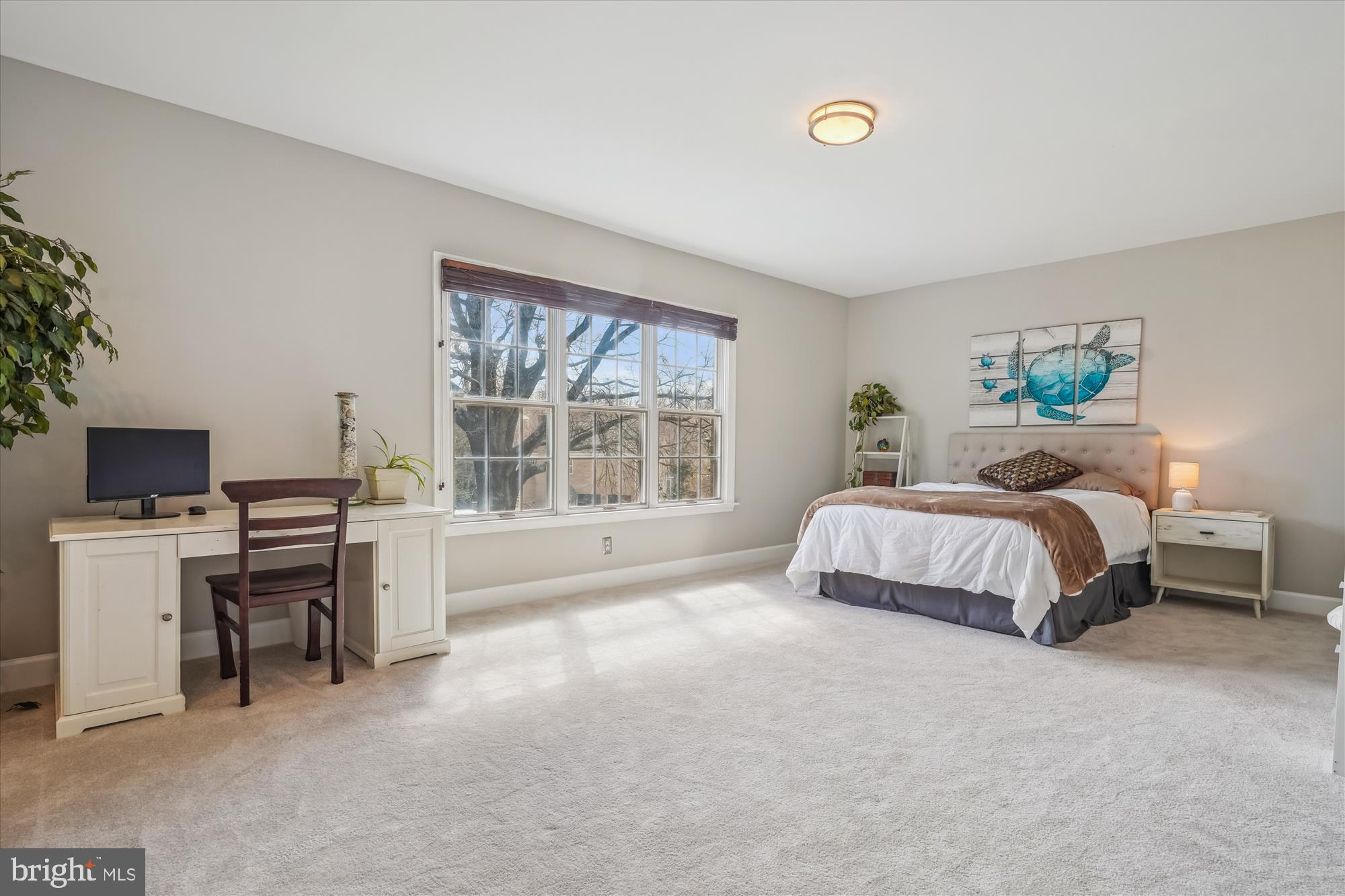 SOLITAIRE - Residential