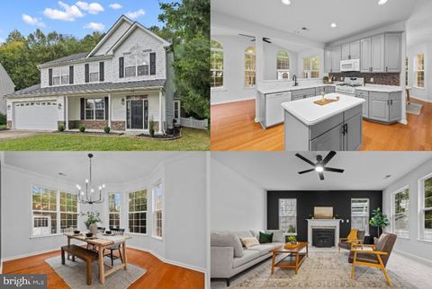 1111 RUDDY DUCK COURT DENTON MD 21629