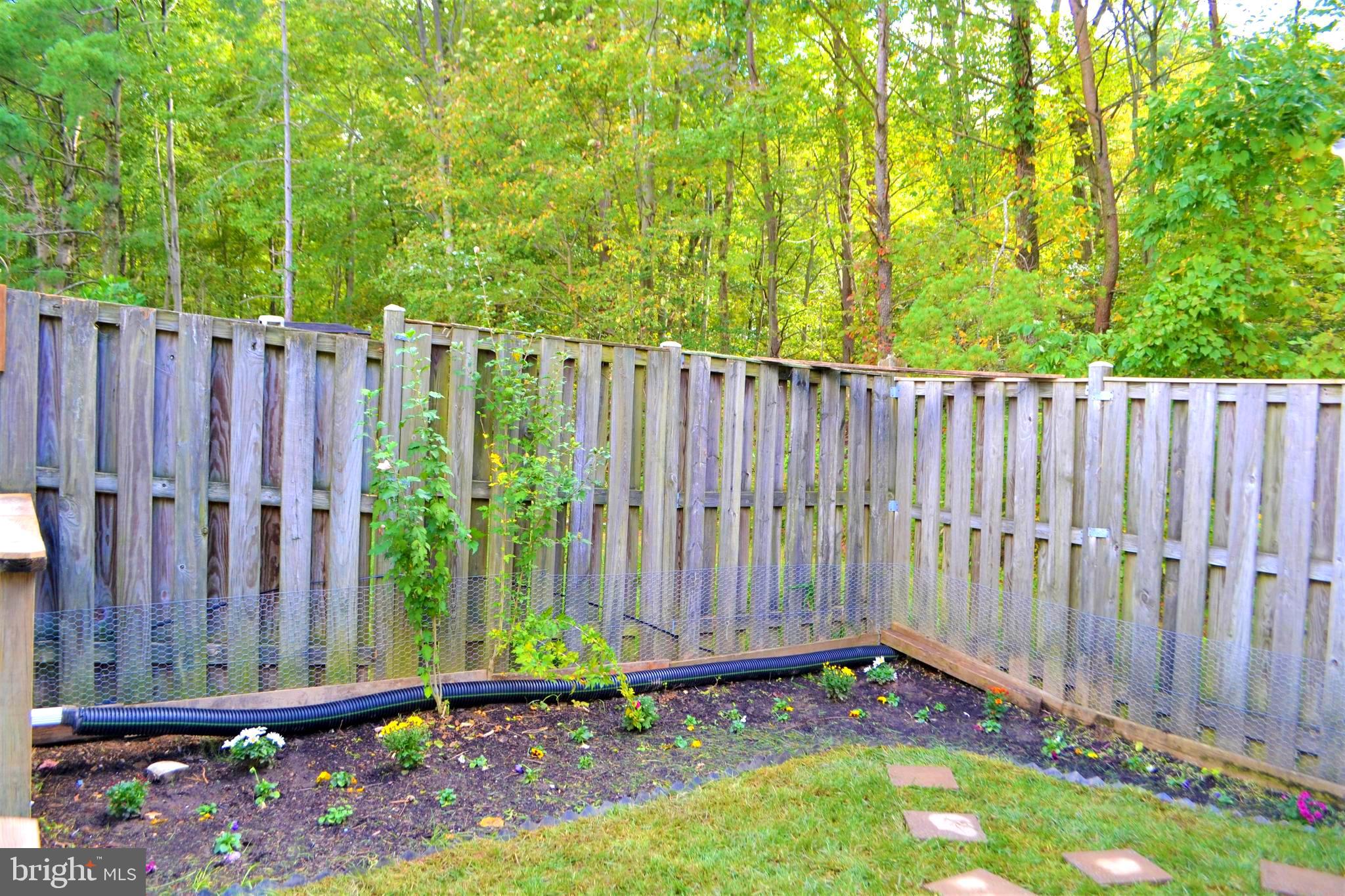 NEWINGTON COMMONS - Residential Lease