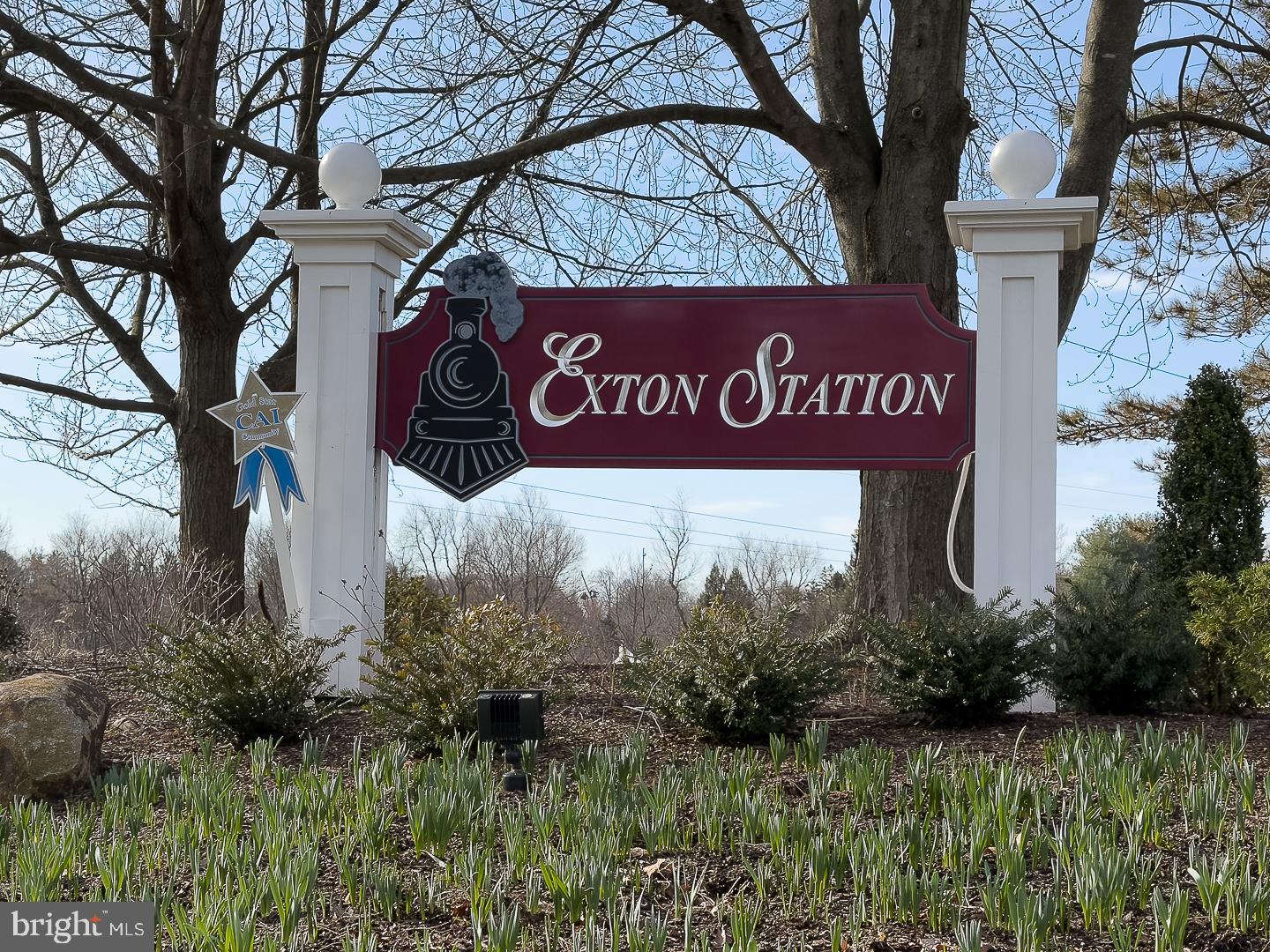 EXTON STATION - Residential