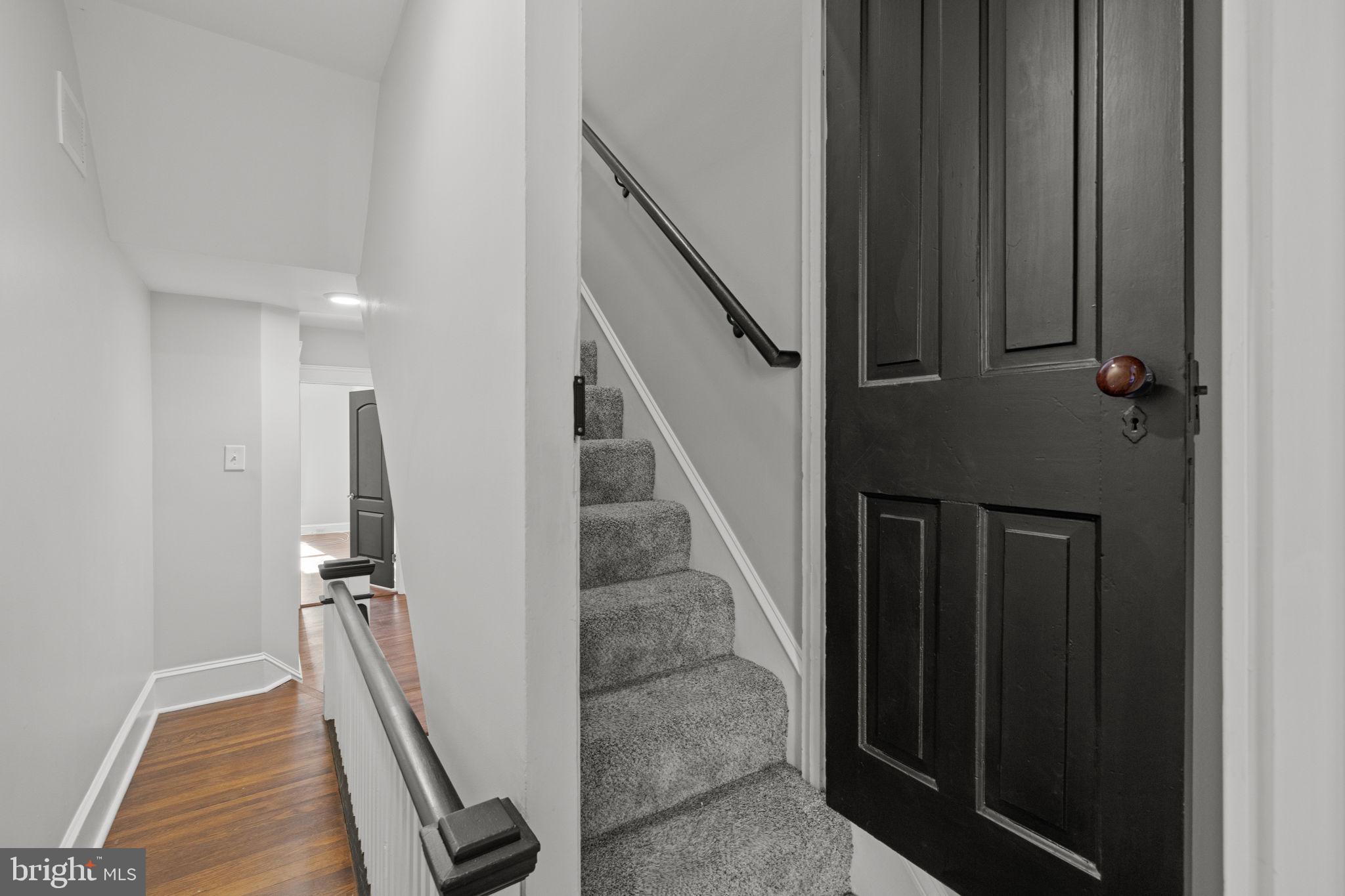 CHESTNUT HILL - Residential