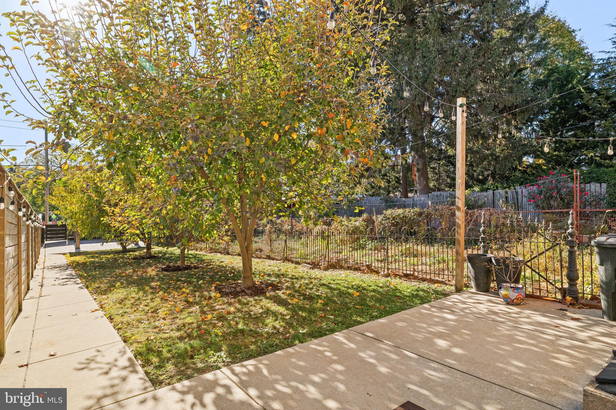 CHESTNUT HILL - Residential