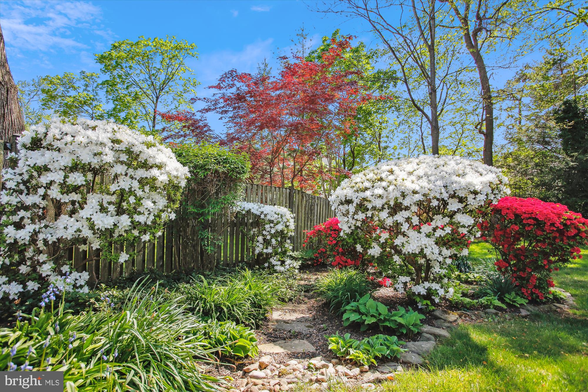 WYNGATE - Residential