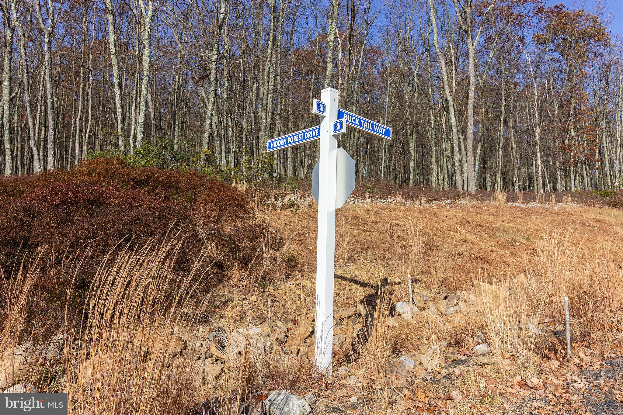 Lot 265 HIDDEN FOREST DR