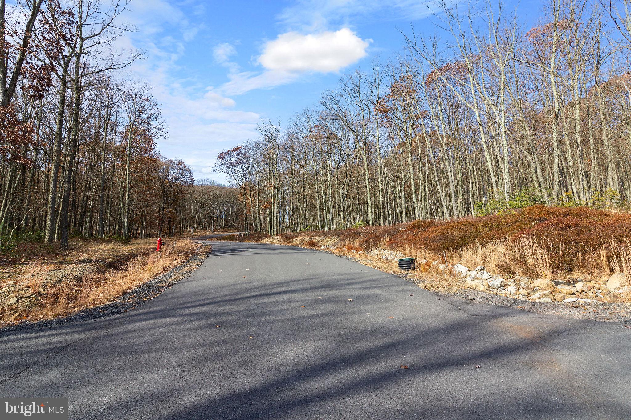 Lot 265 HIDDEN FOREST DR