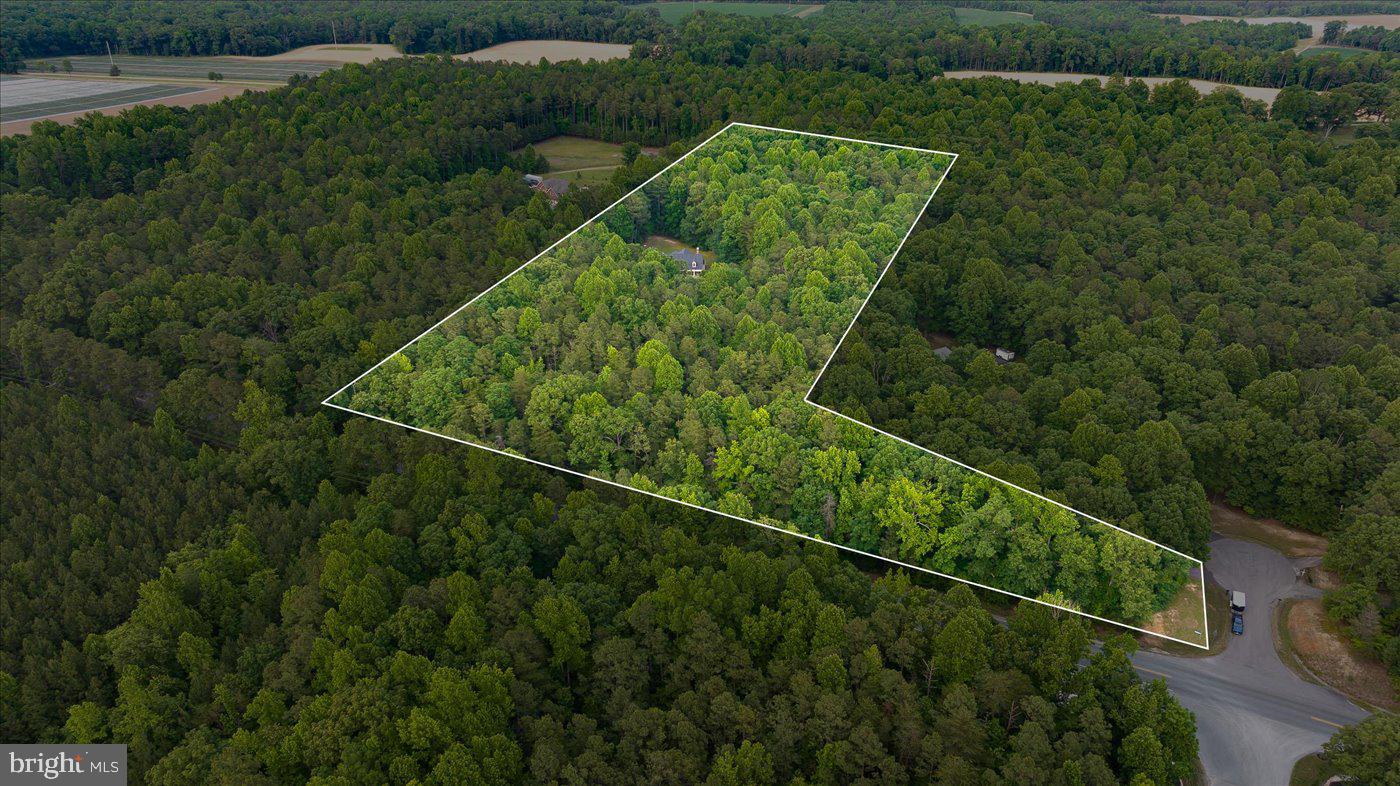 NEW MARKET EAST - Residential