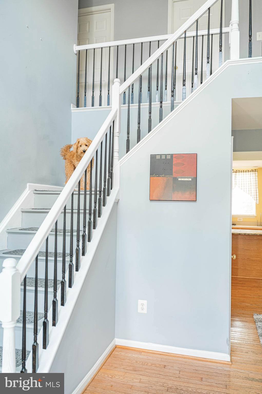 LOCUST HILL - Residential