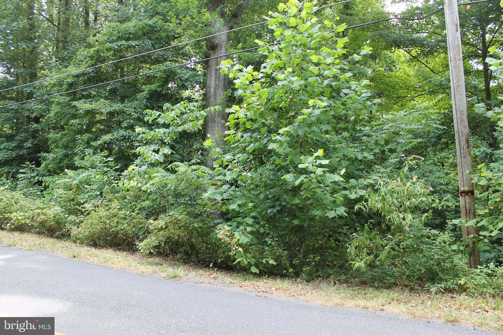 CARROLL VALLEY BOROUGH - Land