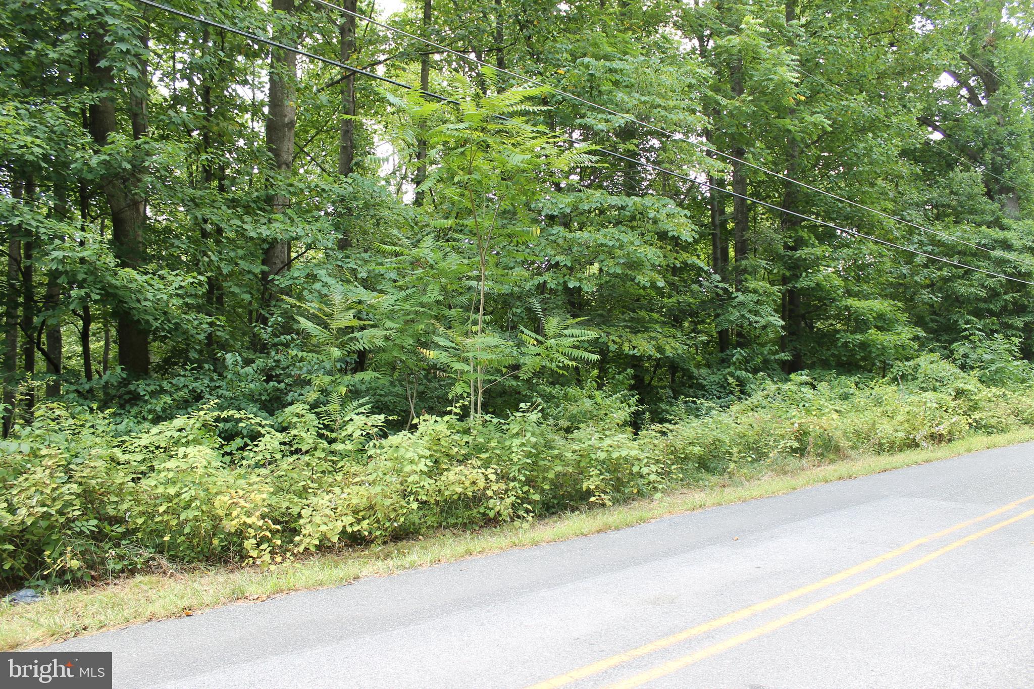 CARROLL VALLEY BOROUGH - Land