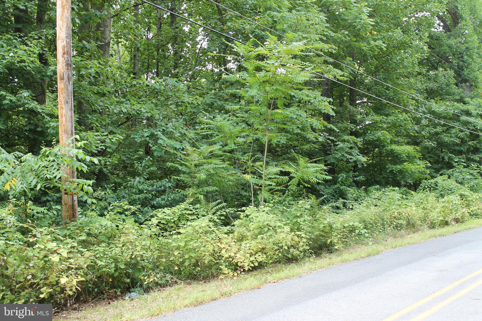 CARROLL VALLEY BOROUGH - Land