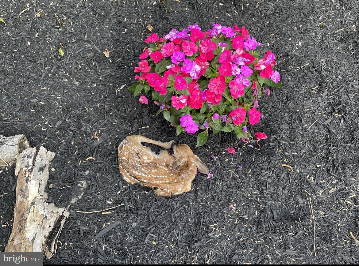 BELLEFONTE - Residential