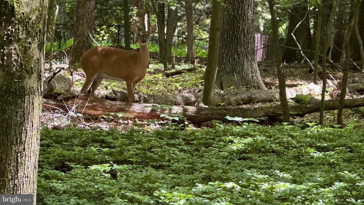 HOMESTEAD FARMS - Residential