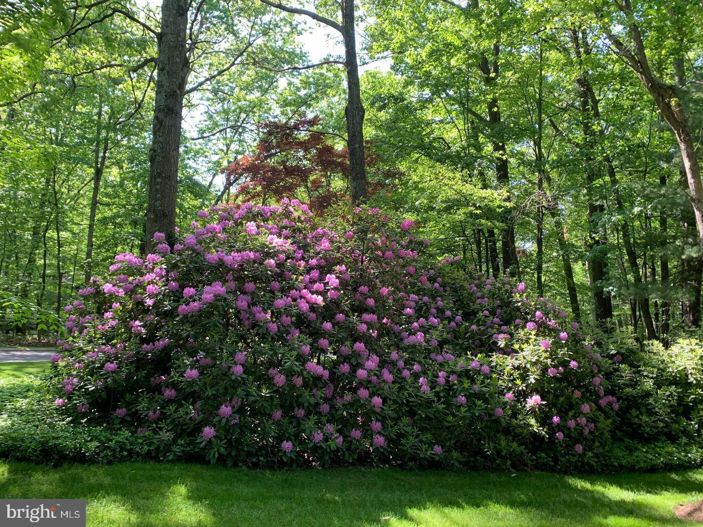 HOMESTEAD FARMS - Residential