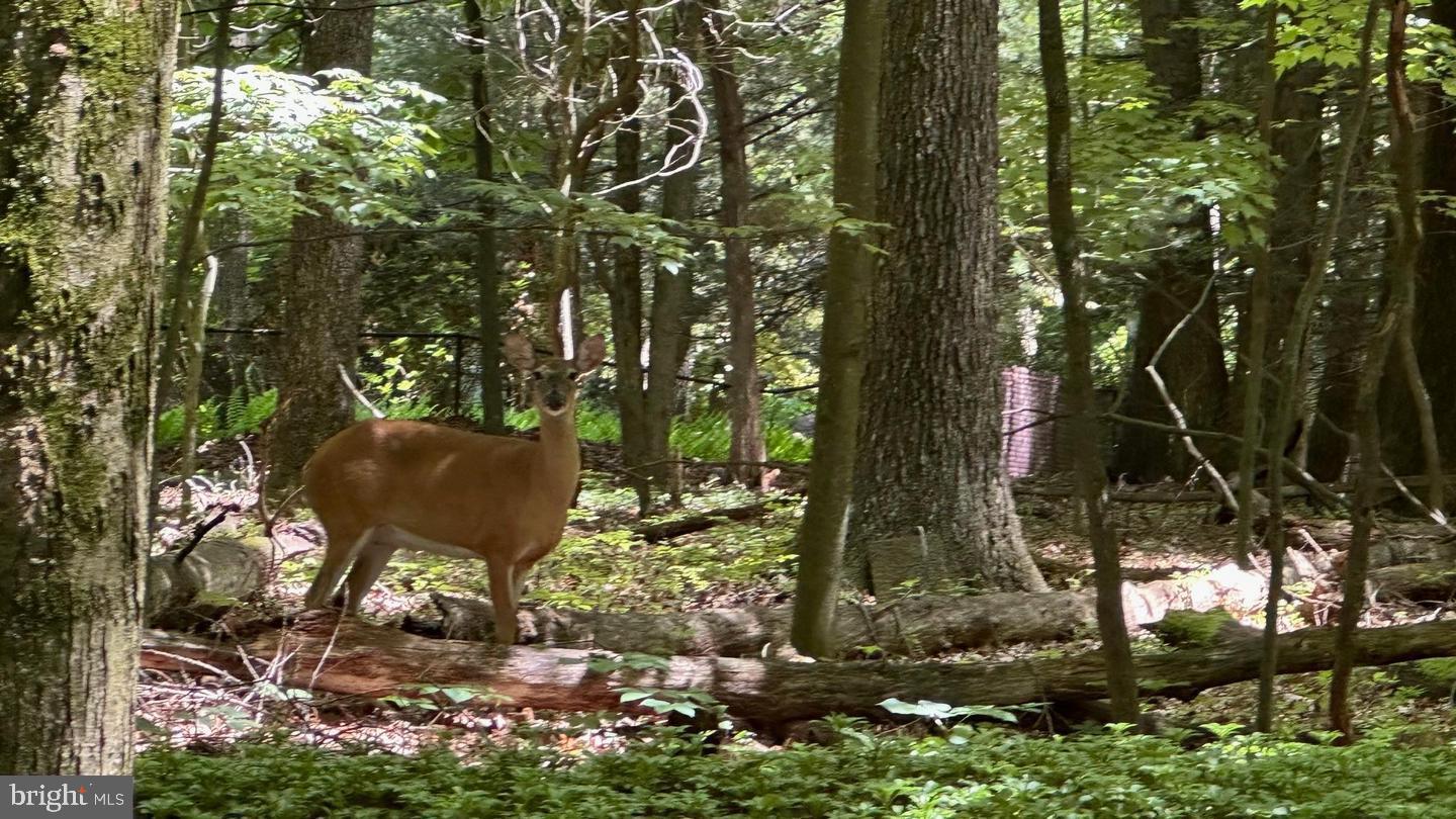 HOMESTEAD FARMS - Residential