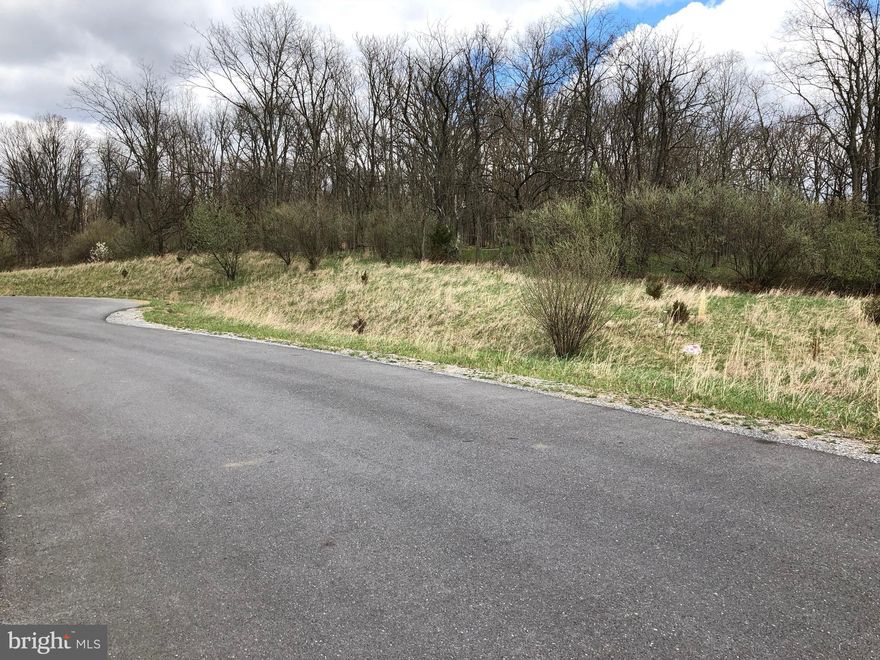 Build your dream home on this .969 acre lot with pastoral views.  Located on a quiet cul-de-sac in the Springs at Shepherdstown, Lot 15 is just minutes from historic Shephedstown which features fine dining and unique shops.  Close to commuter train.  Buy today, build tomorrow.
