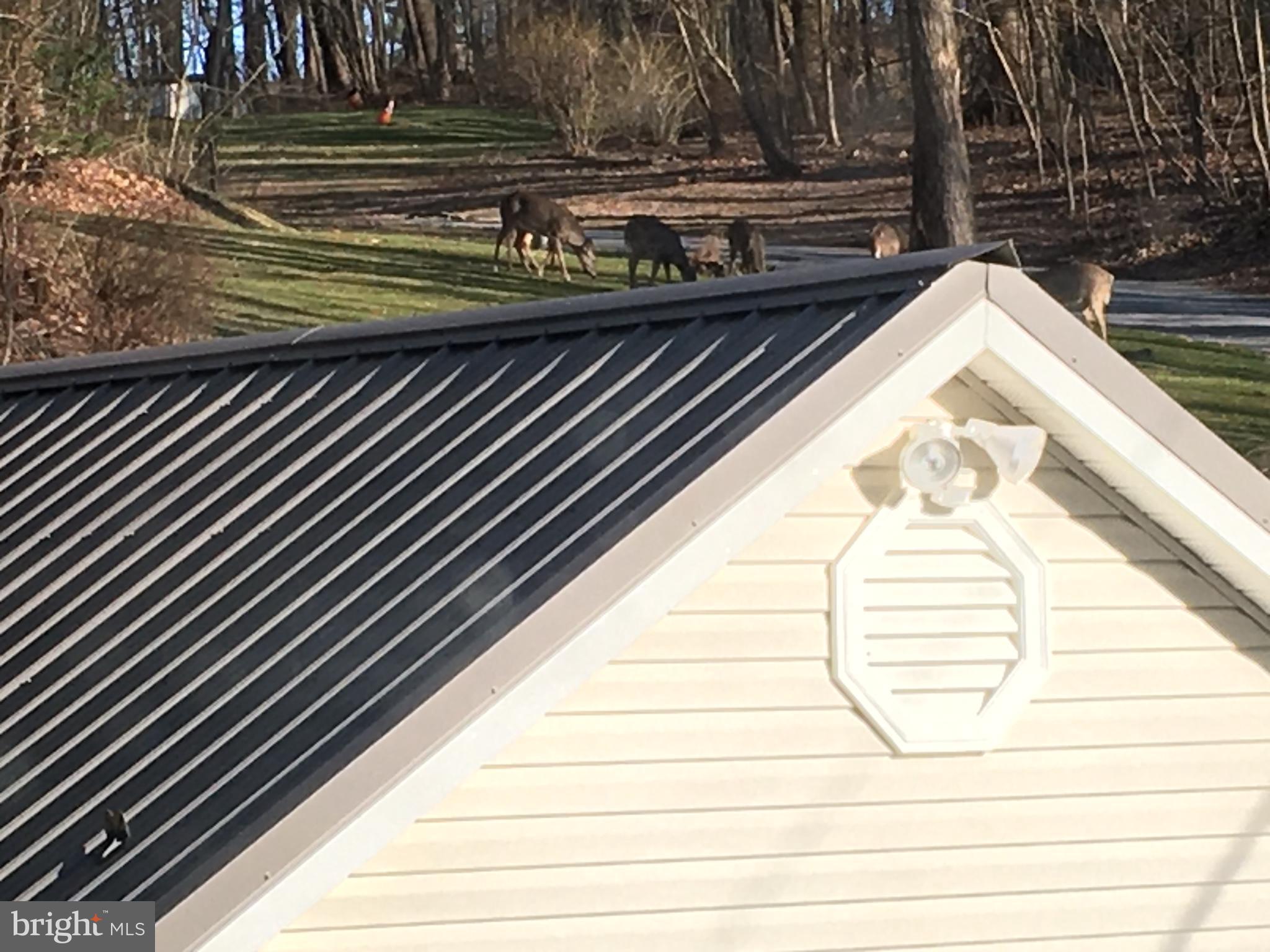 JARRETTSVILLE - Residential