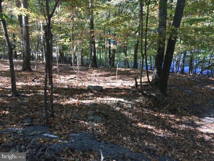 THUNDERBIRD HILLS - Residential