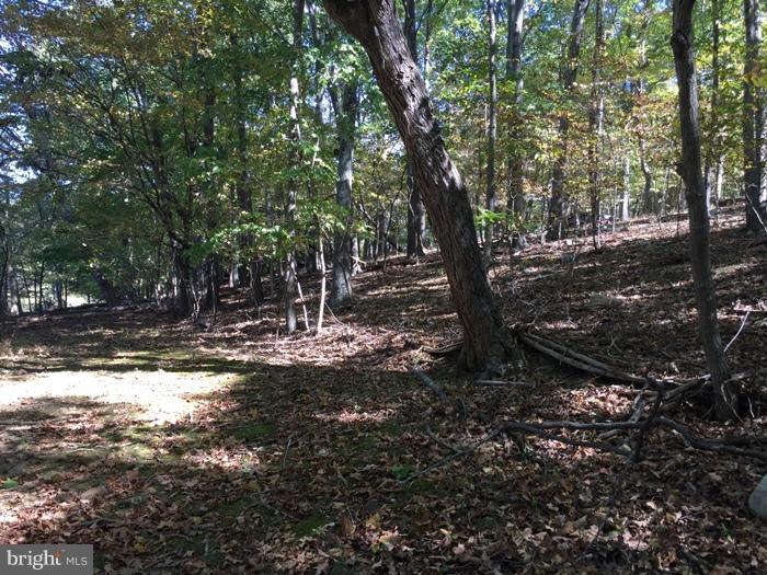 THUNDERBIRD HILLS - Residential