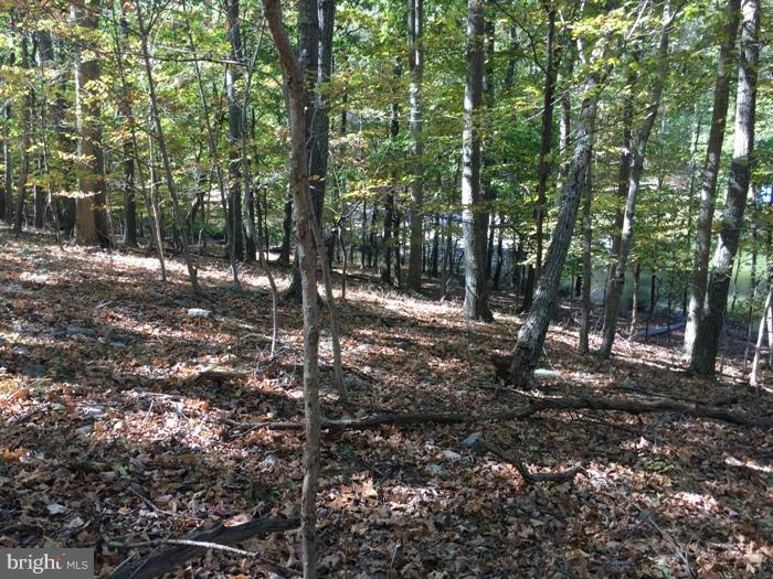 THUNDERBIRD HILLS - Residential